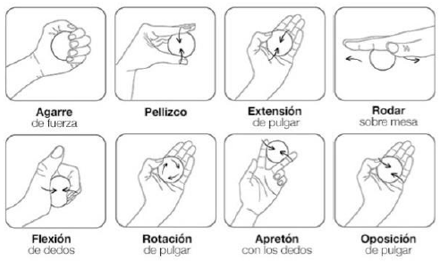 Ejercicios de manos con pelota de espuma