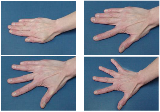 Ejercicios de separación de dedos de la mano