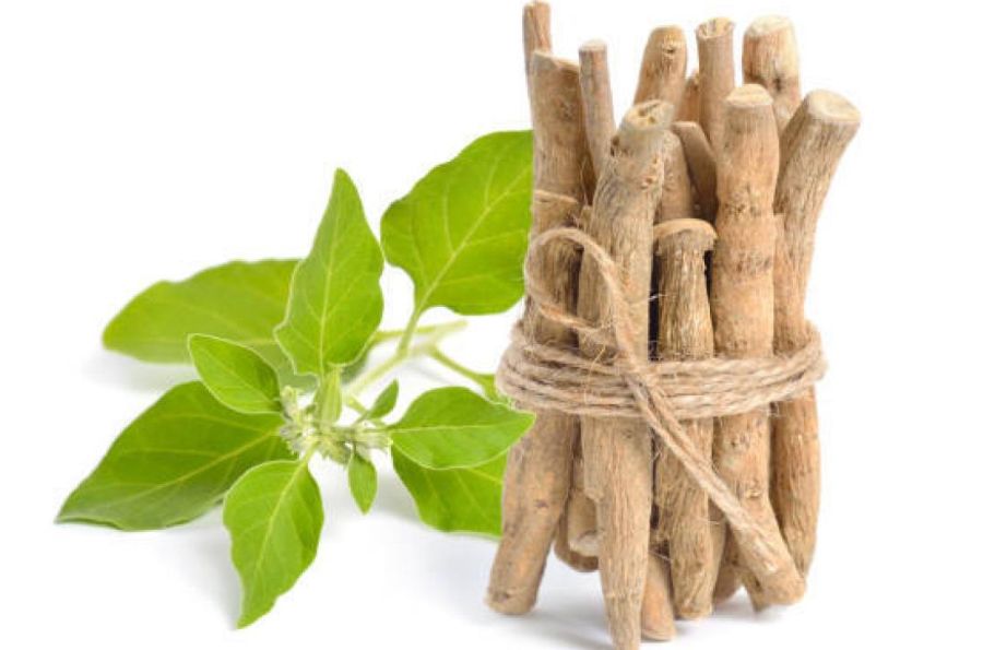 Planta de ashwagandha