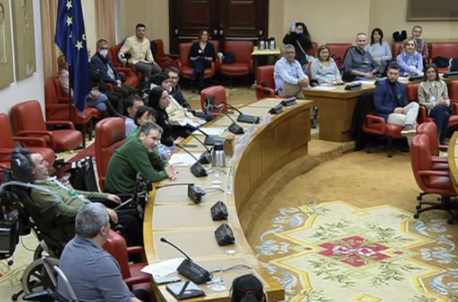 Unzué en el Congreso de los Diputados