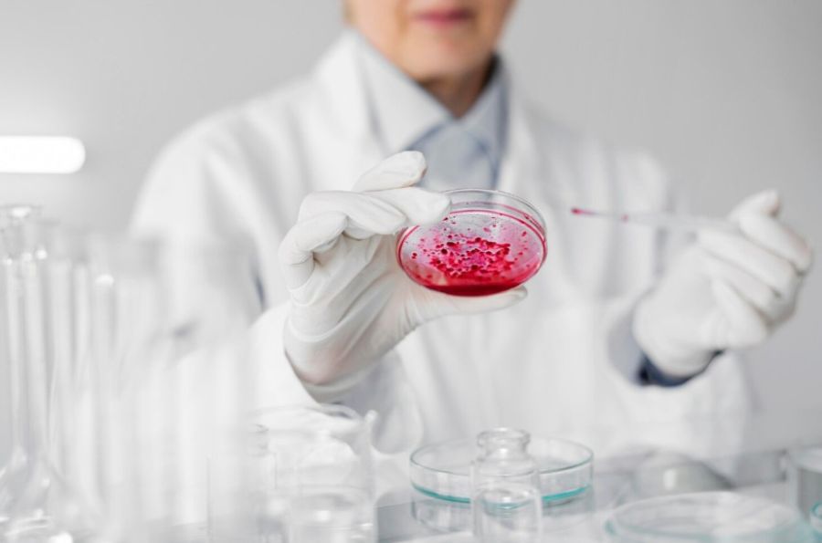 Investigación con Células Madre
