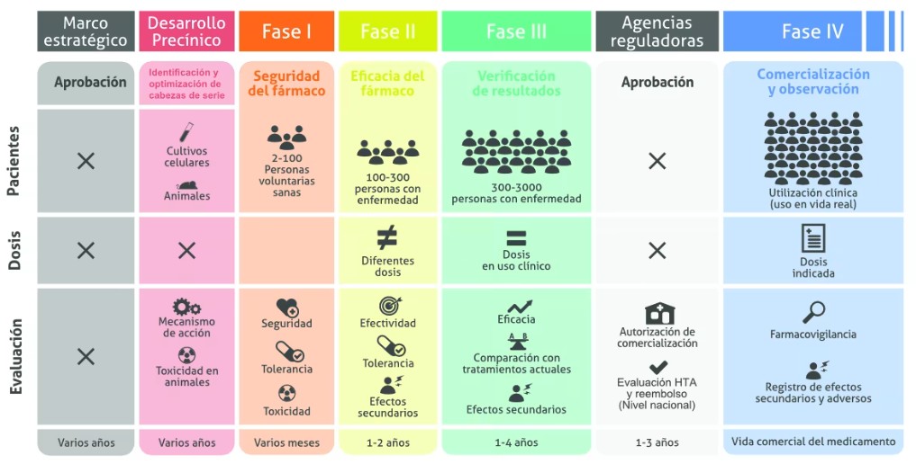 Fases de los ensayos clínicos